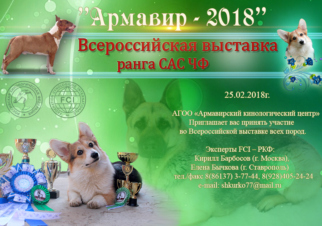 Академгородок выставка собак предстоящие